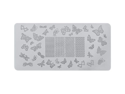 Premium Image Plate Buterflies